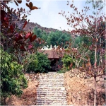 2015-02-07-11-07-30ToanCanhChua.jpg
